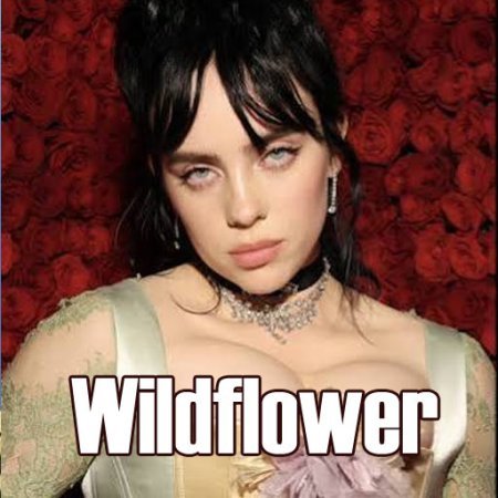 Wildflower Billie Eilish lyrics