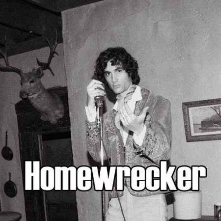 Homewrecker Lyrics