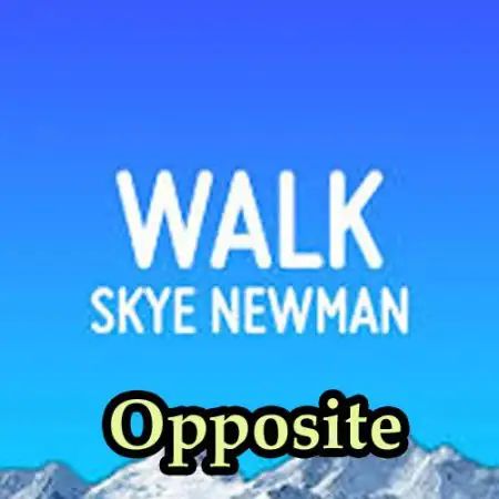Skye Newman - Walk lyrics lyrics thumbnail